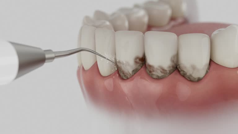 Reliable Dental contractor in Harrison, WI by Dentist Open Now